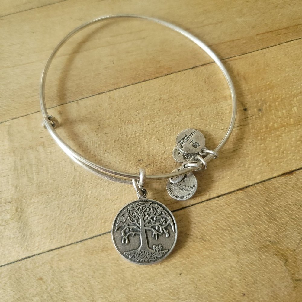 Alex and Ani bracelet